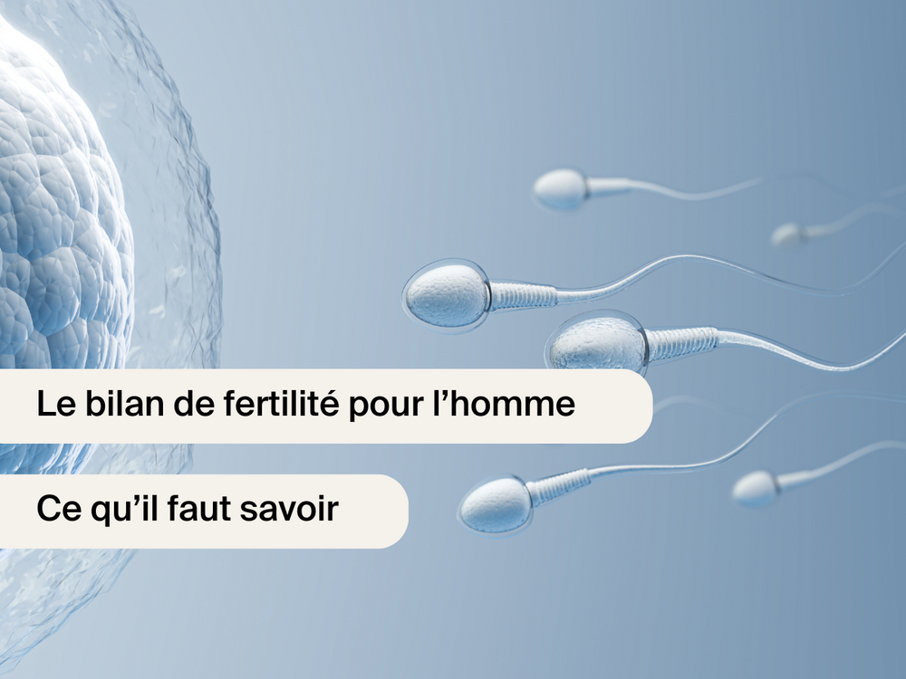 Le bilan de fertilité homme : ce qu’il faut savoir