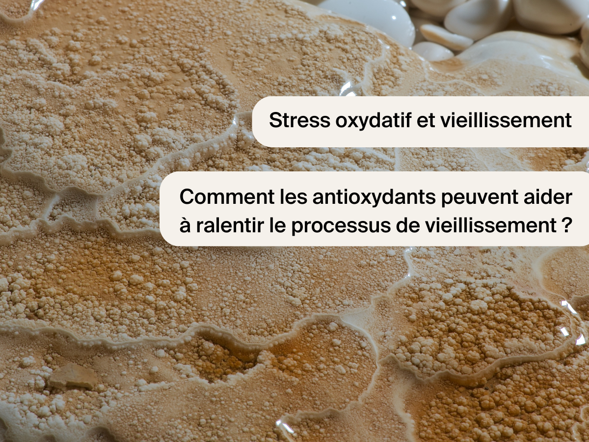 Stress oxydatif et vieillissement : comment les antioxydants peuvent aider à ralentir le processus de vieillissement ?